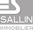 Sallin Immobilier SA