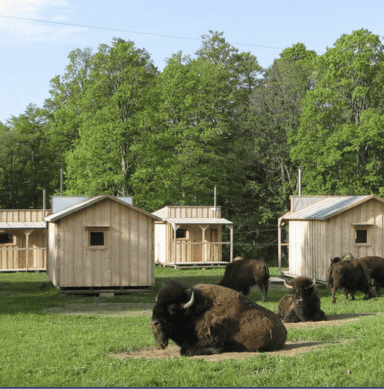 Bison Ranch, aux Colisses du Bas.