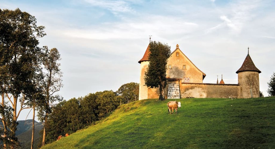 Le Château de Raymontpierre, une bâtisse soigneusement rénovée qui accueille ses hôtes dans le style d'un Private Hideaway.