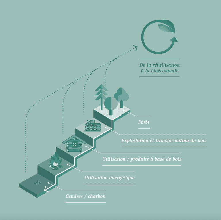 L’optimisation de la consommation de bois se ferait en «cascade».